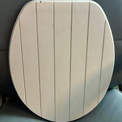 Toilet seat lid