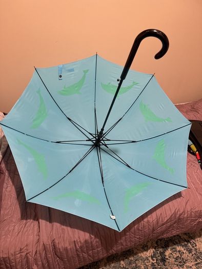 umbrella