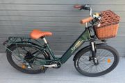 Brand New Dutch Style Electric Bikes