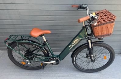 Brand New Dutch Style Electric Bikes