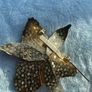 costume brooch Image 6