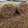 Round bales off hay for sale Image 2