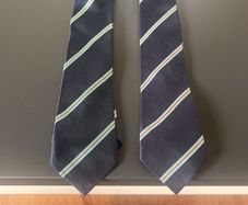 Templeogue College School Ties