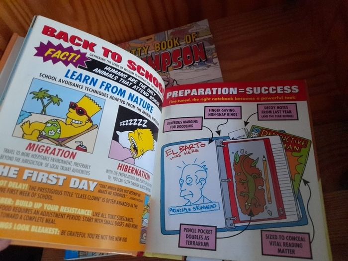 Simpsons Comic Book x 2