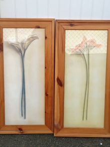 Beautiful Set of 2 Large Flower Pictures