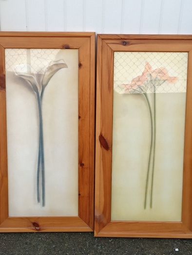 Beautiful Set of 2 Large Flower Pictures