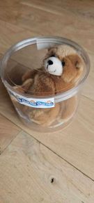Charmin Bear Toy Teddy