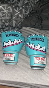 Yokkao 14oz gloves