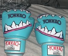 Yokkao 14oz gloves