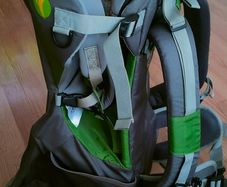 LittleLife Adventurer Child Carrier