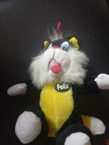 Felix the cat