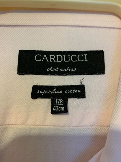 Carducci pink shirt