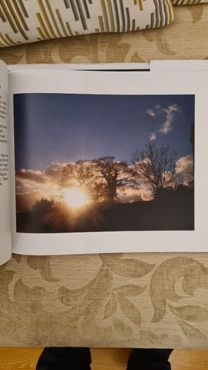 Stories From Life By Ignatius Waters. C. P. Beautiful Illustrated Large Volume Hardback With Dustjacket In Very Good Condition.make Lovely Christmas Present. 34.