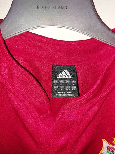 british and irish lions jersey
