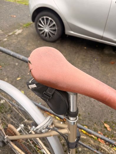 Ladies Bike (L)