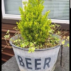Pub