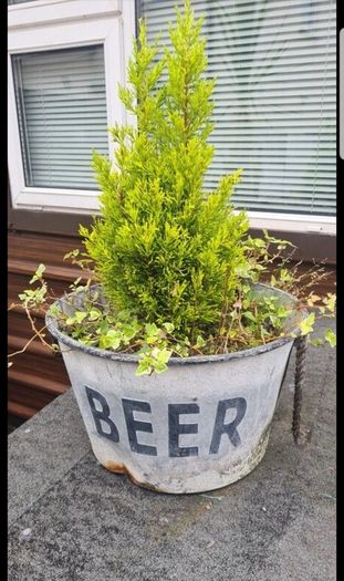 Pub
