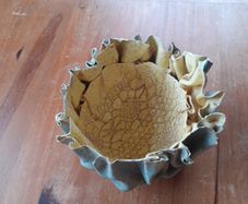 Pottery bowl