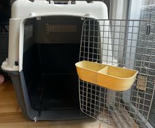 dog airline crate