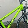 Vercew couger XL 29 Bike Image 4