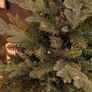 Christmas tree Image 6