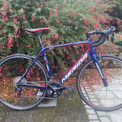 Merida Scultura 4000 Bahrain Team 2020-54cm/M-Carbon-shimano105