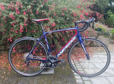 Merida Scultura 4000 Bahrain Team 2020-54cm/M-Carbon-shimano105