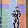 All Natural Muscular Development Magazine. April 1998 Image 3