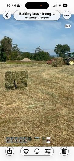 Small square Hay bales