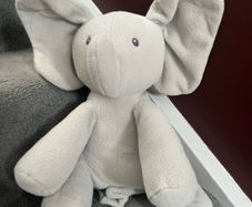 Musical Baby Elephant Teddy