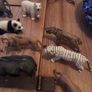 schleich wildlife toys Image 2