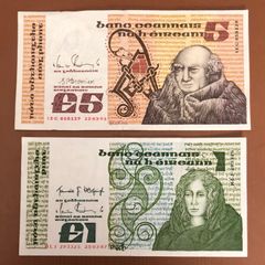Two Irish Punt Notes