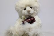 Charlie bears year bear 2021