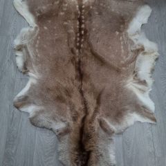 Genuine Cured Deer Rugs