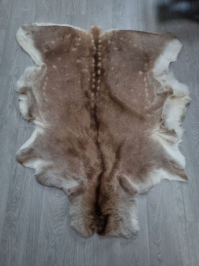 Genuine Cured Deer Rugs