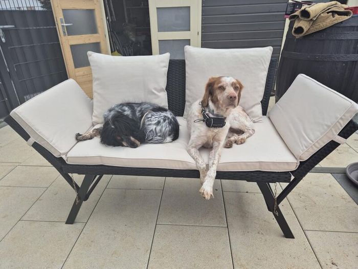 Polyrattan Garden Bench 4 in 1 with Reclining Function Weatherproof, adjustable Amrests