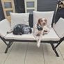 Polyrattan Garden Bench 4 in 1 with Reclining Function Weatherproof, adjustable Amrests Image 5