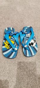 Havaianas Sandals
