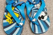 Havaianas Sandals