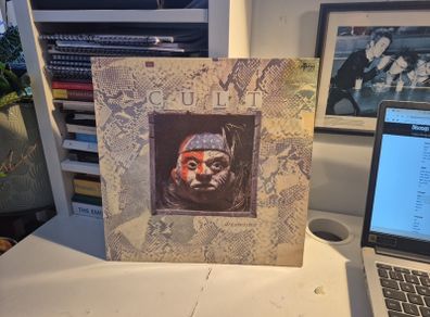 the cult dream time