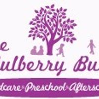 The  Mulberry Bush Jobs in Ireland