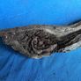 bog oak Image 5