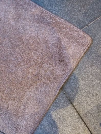 Cream/taupe rug