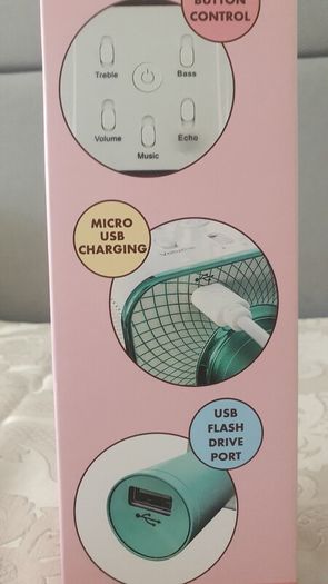 Karaoke microphones with wireless speaker