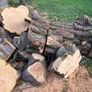 Wood Logs for Sale Image 2