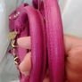 Rare vintage dkny Purple Snake Print Bag Y2K McBling Satchel Image 10