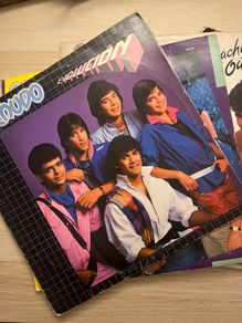 Menudo Vinyl Selection