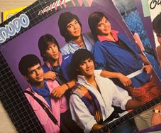 Menudo Vinyl Selection