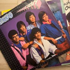 Menudo Vinyl Selection
