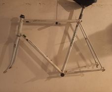 Raleigh Elan Reynolds 501